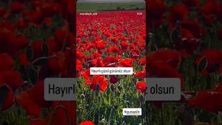 #onecikar #örgü #lifsayfasi #siparisaliyorum 🌹🌹🌹