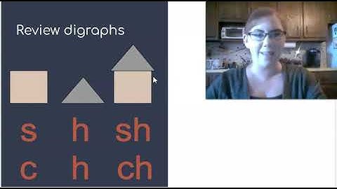 Skills Unit 1 Lesson 17 (grade 1)