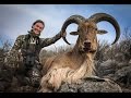 Texas Free Range Aoudad Hunt With Trans Pecos Guide Service