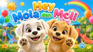 Hey Mola dan Moli