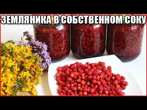 Земляника в собственном