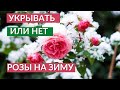 Лучшее Укрытие Роз на Зиму. Зимовка Роз.