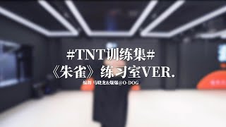 【TNT时代少年团】《朱雀》练习室版 #TNT训练集