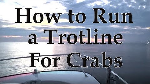 How to Run a Trotline for Crabs