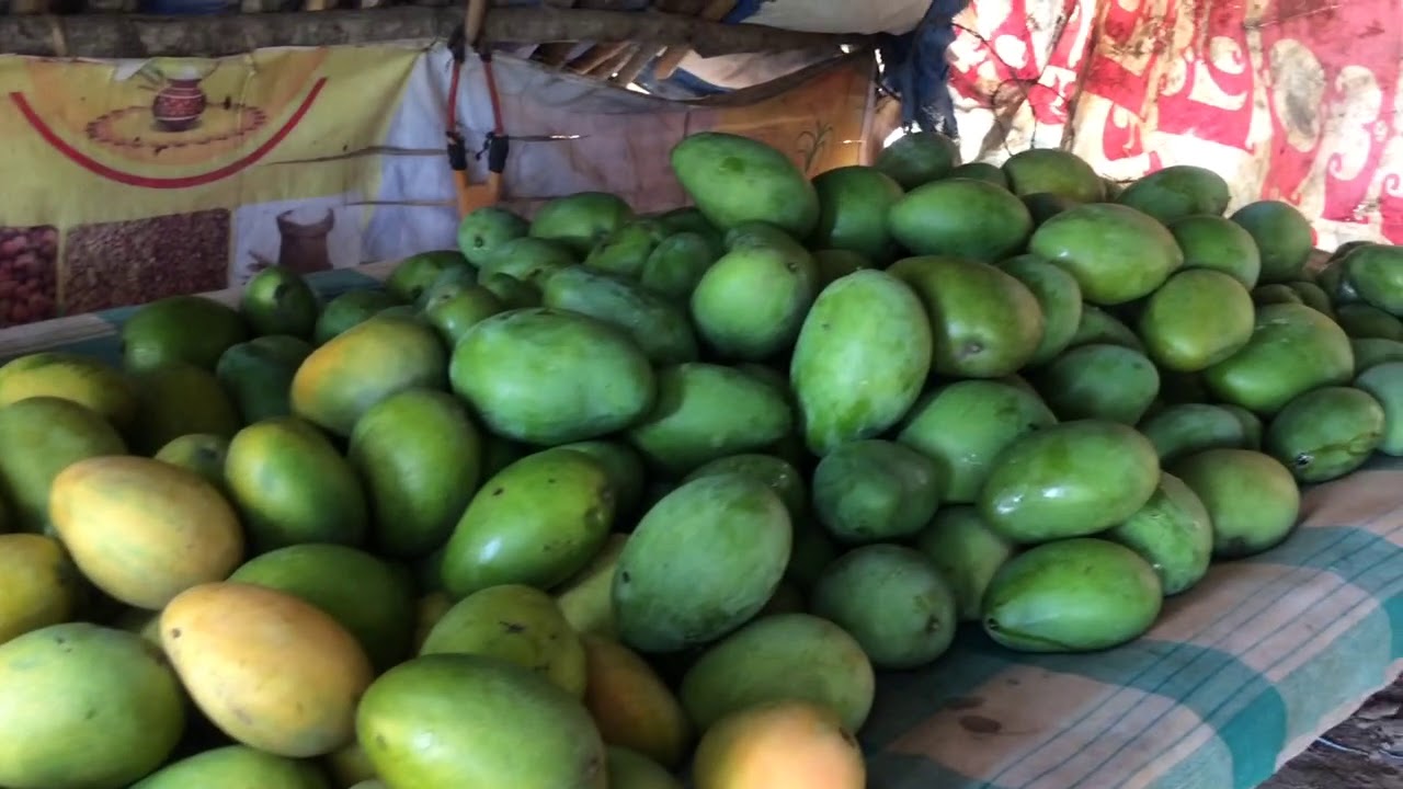 Ulavapadu natural mango s YouTube