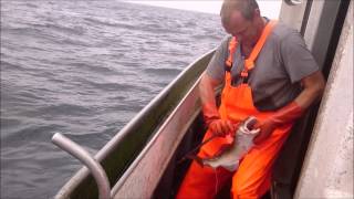 Fishing trip at the North Sea