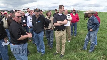 The Angus Report, June 17, 2013: Around the Angus World