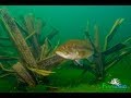 The Science Behind Fishiding Artifical Fish Habitat-Time Lapse Video (Part 1 of 10) The Science Behind Fishiding Artifical Fish Habitat-Time Lapse Video (Part 1 of 10)