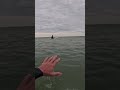 Effortless Lineup Entry! #Bodyboard #Shorts