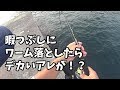 海で暇つぶしにワーム落としたらブリッブリのあの魚が釣れた