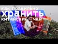 Как правильно хранить чай. Разные условия для разных сортов чая?