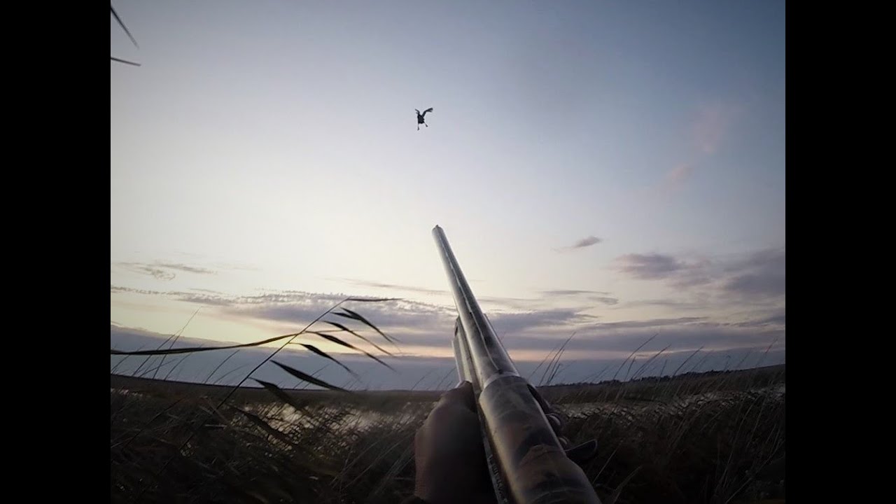 ⁣Открытие осенней охоты в Казахстане 2019 год.