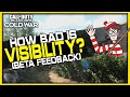 Why is the Visibility so Bad? | Breakdown & Feedback! (Cold War Beta)