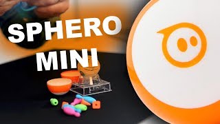 Unbox and Review for Sphero Mini! Wealth