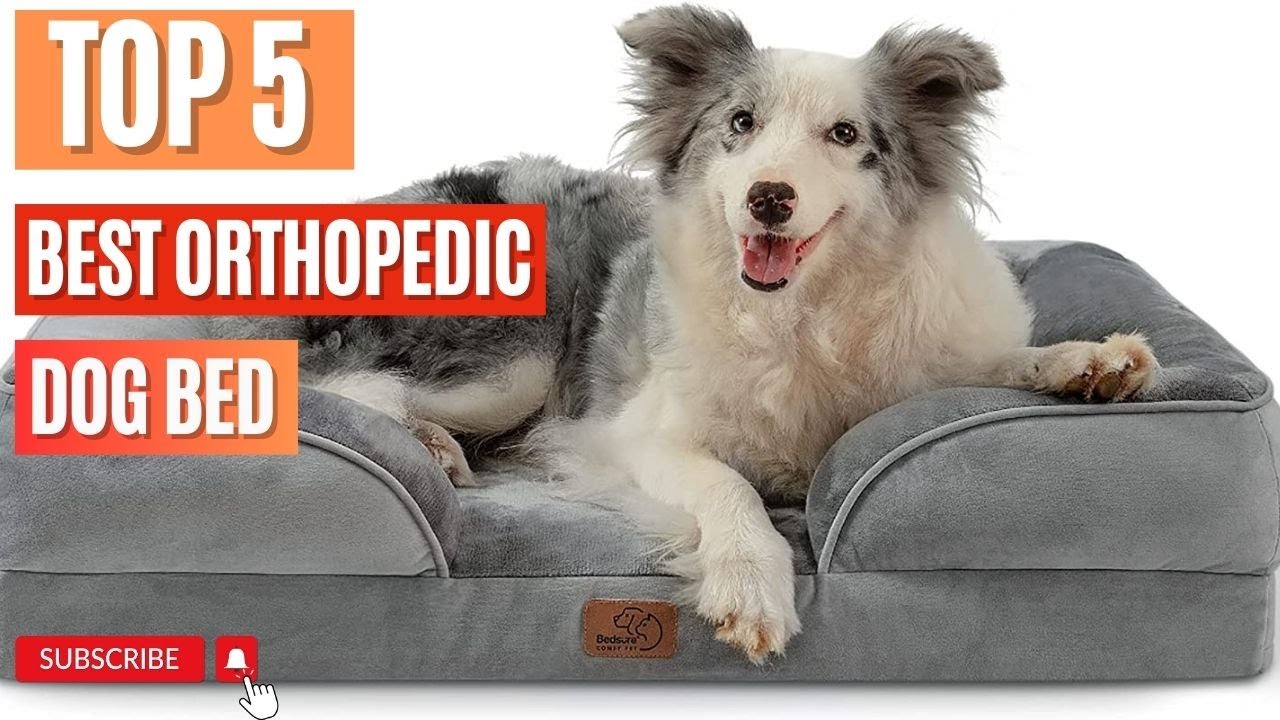 Top 5 Best Orthopedic Dog Bed Dog Bed Orthopedic YouTube