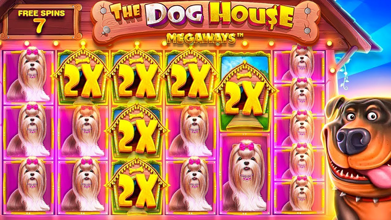Дог хаус мегавейс dog houses info