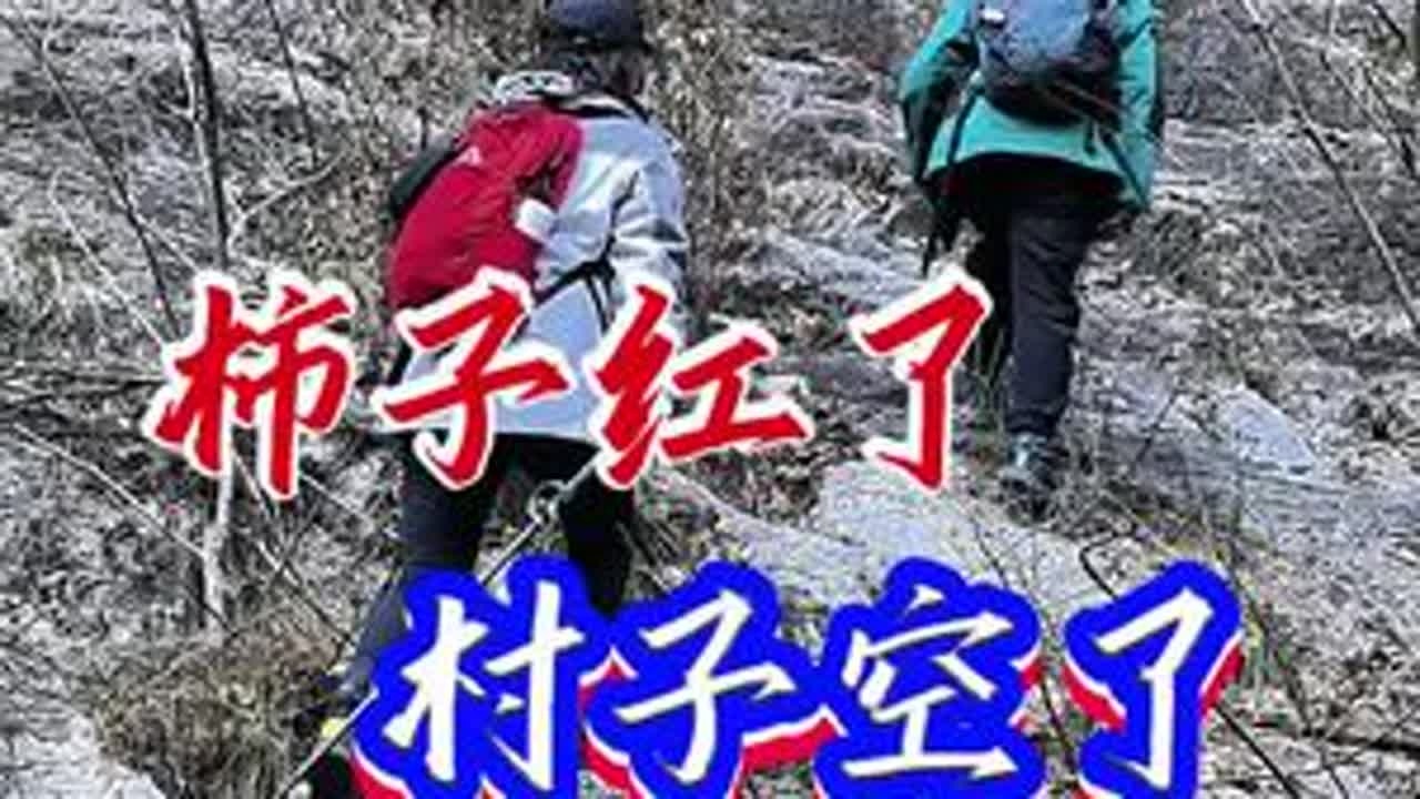 #十一月二十日，房山六渡槐疙瘩村北港沟村穿越十公里，爬升五百米。整村人去屋空，柿子红了没人打理。外面过好了不想回乡；外面过不好找理由回乡，外面不如家里更是故土难离。#槐疙瘩村#北港沟村#六渡#房山