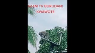 VICHEKESHO VYA BONGO I BONGO RAHA