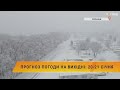 ☃️❄️Прогноз погоди на вихідні: 20-21 січня