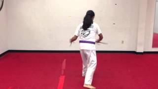 Kung fu san soo cha/sai form #1