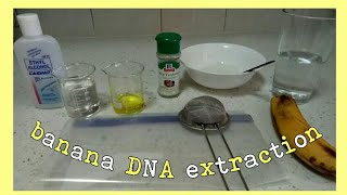 Banana DNA Extraction
