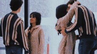 Camila Cabello and Shawn Mendes "in love" moments