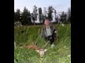 Siberian roe deer wild boar hunting chasse russia by seladang