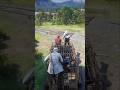 RDR2 Extreme Survival Simulation Impossible Moments EP.982