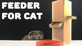 HOW TO MAKE Cat Food Dispenser from Cardboard at Home