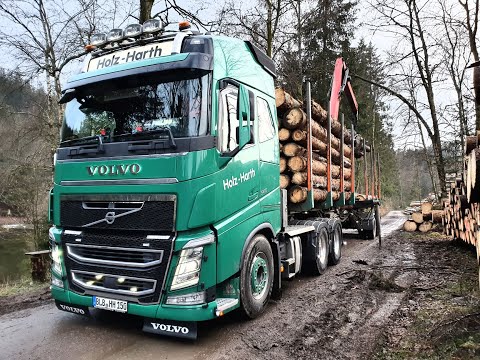 Video: Wie transportiert man Langholz in einem LKW?