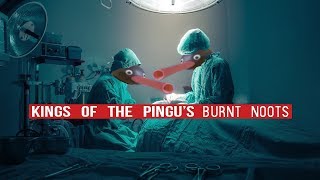 Kings Of The Pingus - Burnt Noots