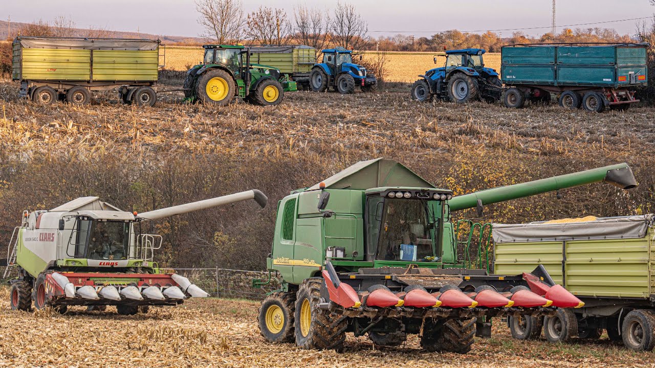 Kukorica aratás 2025 Claas Lexion 540C 2x John Deere  3x Landini 165 LandPower [Corn Harvest 2025]