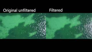 Ocean Surface Ripple Noise Removal Filter