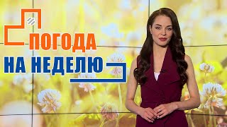 Дожди и похолодание! Прогноз погоды с 13 по 19 июня 2022. Погода на неделю. Лунный календарь