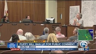 Puppy bill ban up for public comment