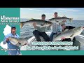 May 30th 2024 new jerseydelaware bay fishing report with jim hutchinson jr