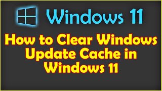 how to clear windows update cache in windows 11