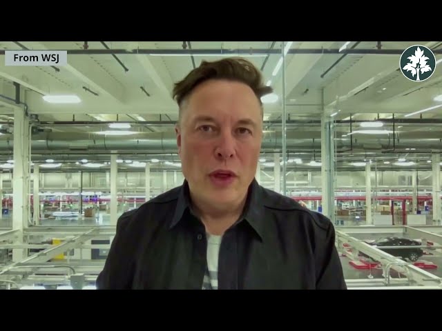 “Get rid of all subsidies, including oil and gas,” Elon Musk class=