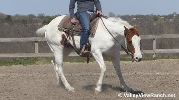 CW Flashy Painted Jac - jog, lope, big stops, lead changes, spins! - ValleyViewRanch.net