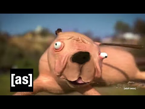 Man’s Best Friend | adult swim smalls