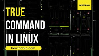 True: The Command You Didn't Know You Needed