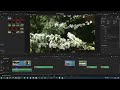 Beginning of video