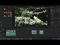 Middle of video