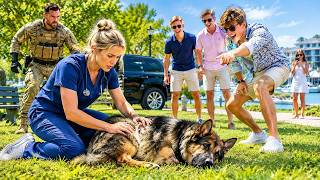 Rich Teens Attacked a Nurse's Retired K9 — The Quiet Nurse Was a Decorated Army Medic