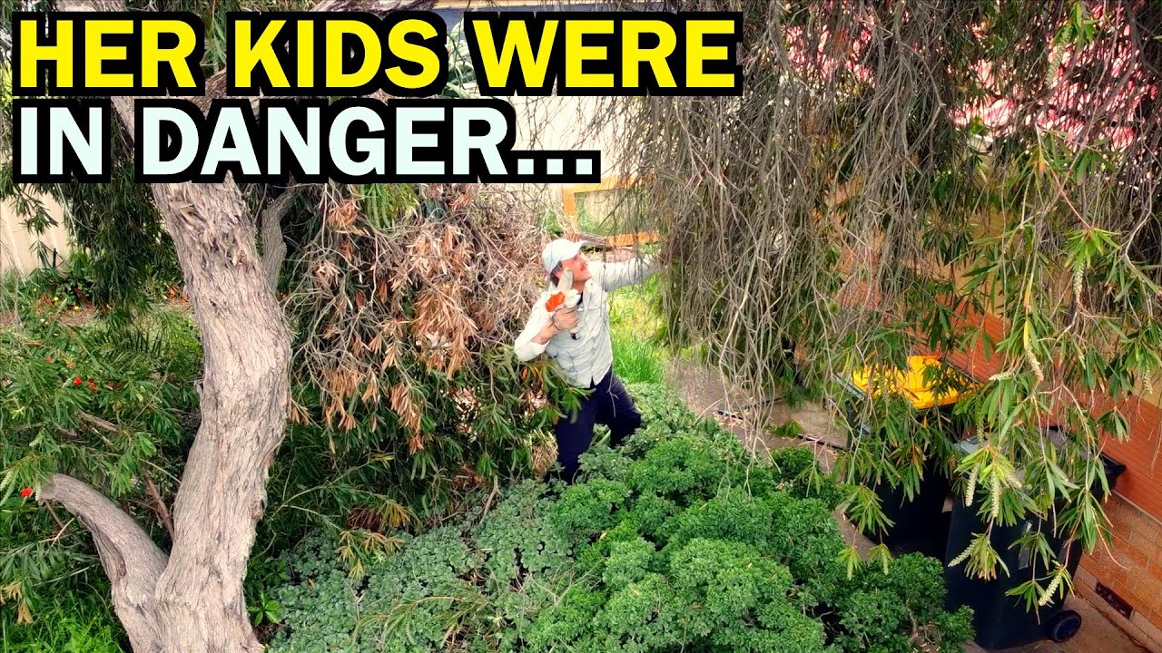 They Couldn't Play Outside Anymore - I Gave This Family a HUGE Surprise!