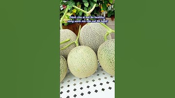 🍈HÉ LỘ "TRÙM" DƯA LƯỚI SIÊU NGỌT - GIỐNG DƯA LƯỚI NHẬT BẢN RUỘT VÀNG! 🤗