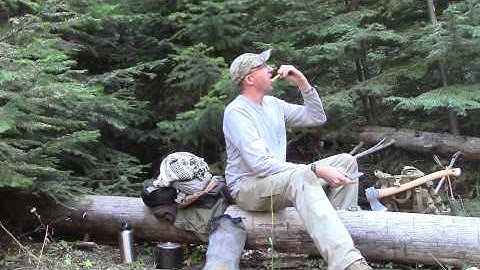 Forest Bushcraft Camp Part 1 - Wilderness Bug Out Location ?