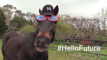 Hedera Hashgraph Open Access is finally here!😍 #HelloFuture💥🎉