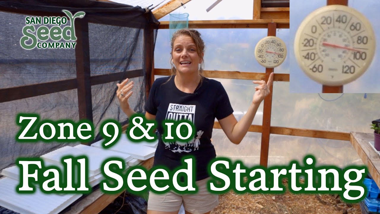 Everything You Need to Know About Starting Fall Seeds for Zone 9 & 10