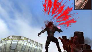 Kısa Bir Video Adama Ne Koydum Bee